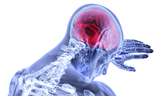 Loss or Blurred Vision After Head Injury: Types of Issues and What You Can Do